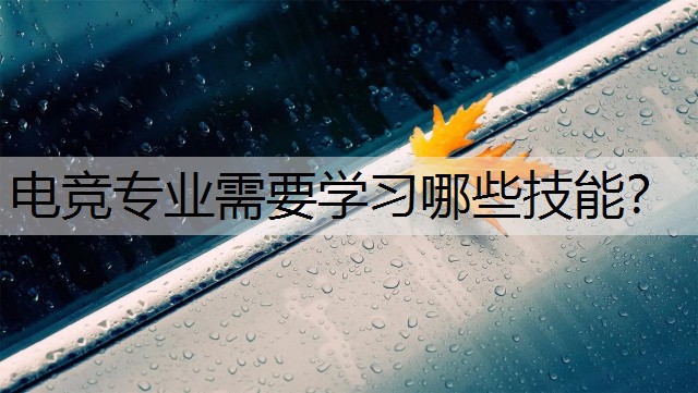 电竞专业需要学习哪些技能？