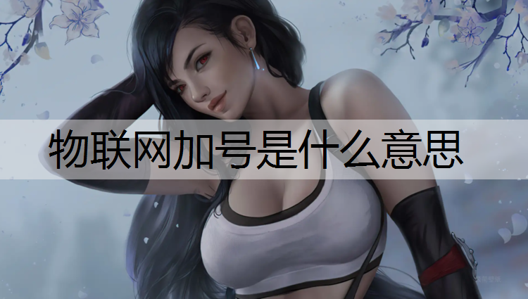 物联网加号是什么意思