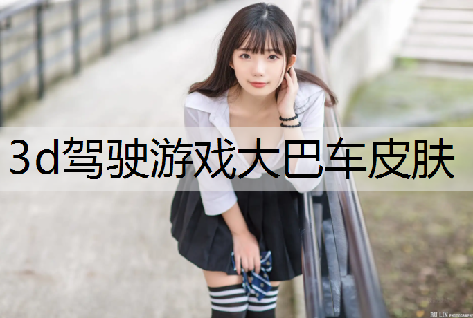 3d驾驶游戏大巴车皮肤