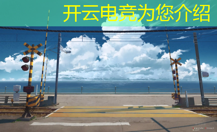 kaiyun·开云电竞为您介绍：电竞周年活动策划方案范文