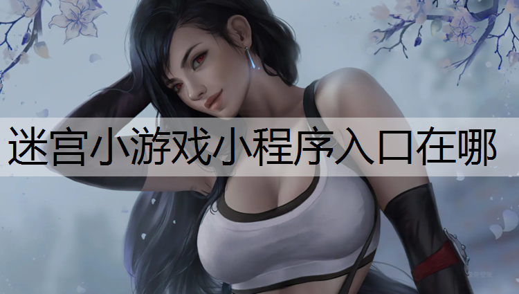 迷宫小游戏小程序入口在哪