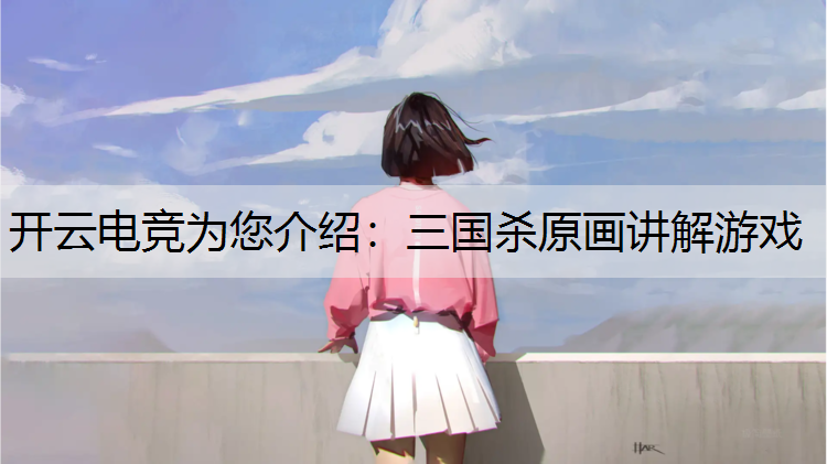 三国杀原画讲解游戏