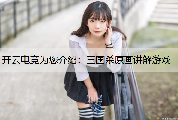 三国杀原画讲解游戏