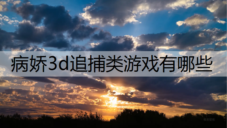 病娇3d追捕类游戏有哪些