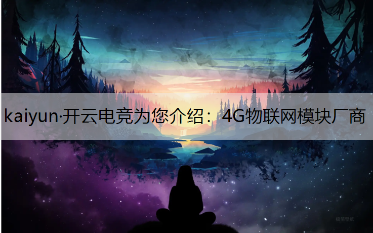 4G物联网模块厂商